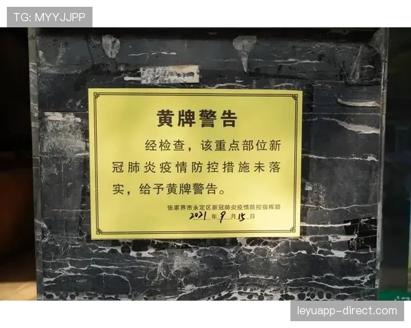 黄牌警告的判定标准:哪些行为会招致裁判出示黄牌? 黄牌警告的判定标准:哪些行为会招致裁判出示黄牌?
